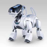 aibo
