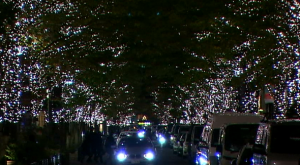 丸の内イルミネーション2014