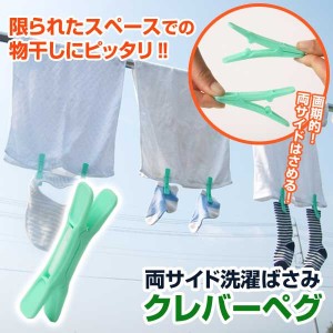 クレバーペグ