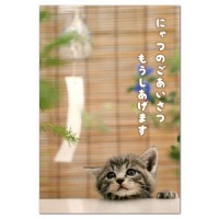残暑見舞い