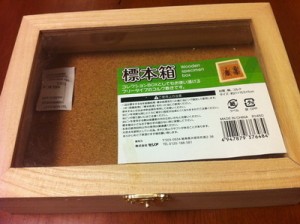 標本箱